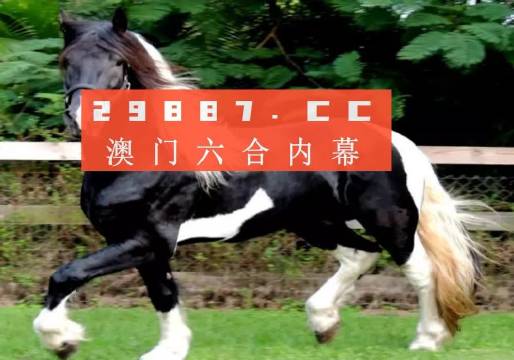 澳门和香港与香港一肖一码一中一肖l,讲解词语解释释义