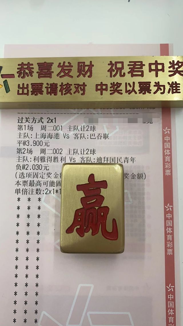 今晚必开什么生肖,精选解释解析落实