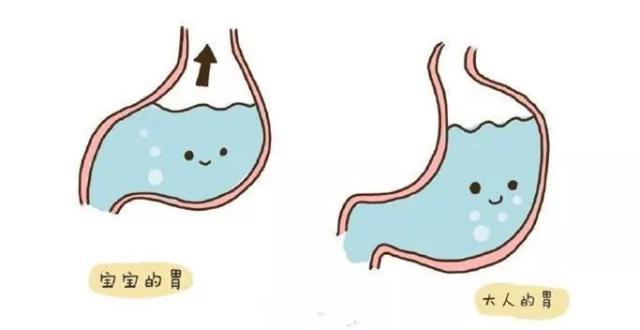 生孩子一个月后来月经，生理变化与知识解读