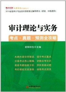 广东省初级审计，知识与实务的探讨