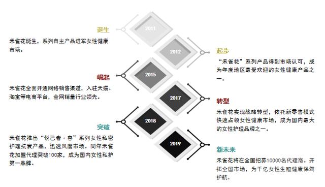 广东斯科有限公司，深度解析其发展历程与多元业务布局