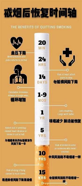 澳门专家解读戒烟一个月的变化，身体与心理的双重重塑