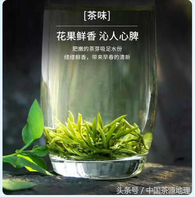 广东省今年绿茶名次揭晓，品质与特色的完美融合