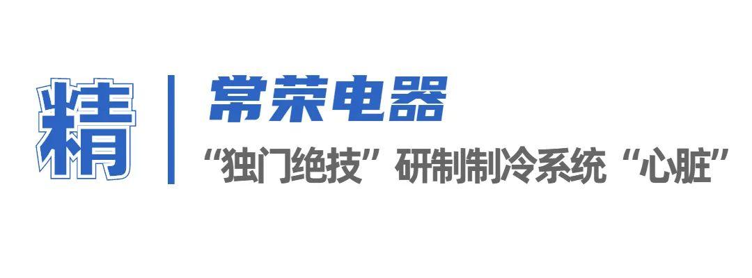 江苏科技创新小巨人，引领新时代的科技力量