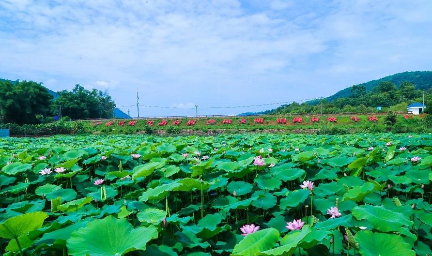 广东省梅县地图，历史、地理与文化交汇的解读