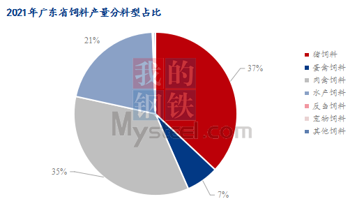 广东省马饲料，专业解读与未来发展