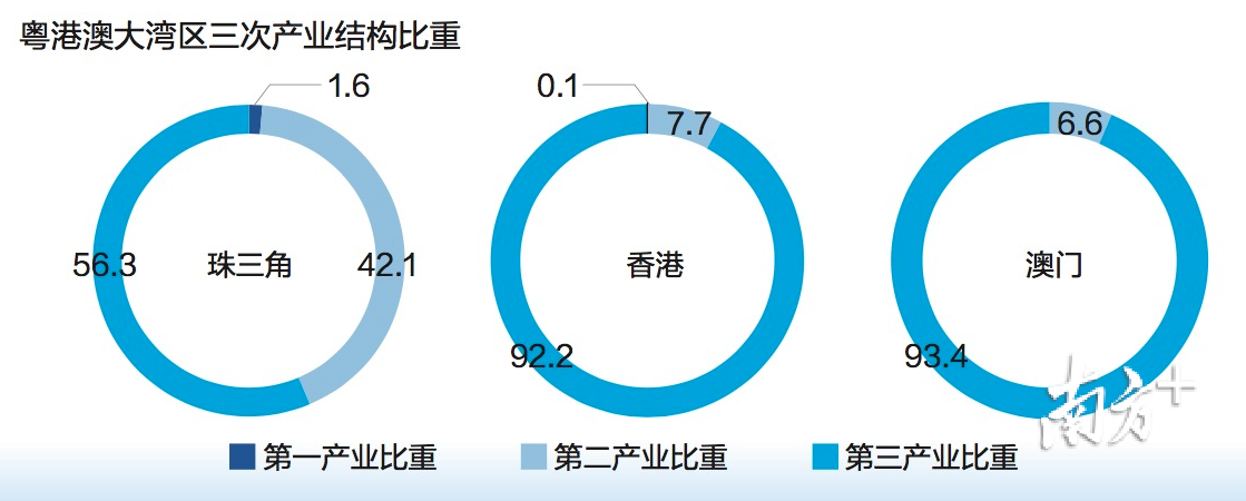 广东依辰有限公司，深度解析其在澳门及大湾区的角色与影响