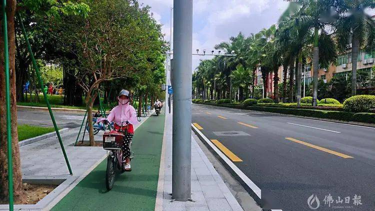 广东省慢行系统，构建澳门与周边城市的绿色出行新篇章